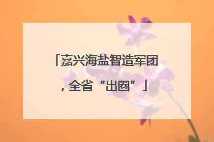 嘉兴海盐智造军团，全省“出圈”