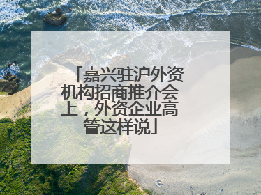 嘉兴驻沪外资机构招商推介会上，外资企业高管这样说