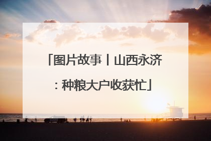 图片故事丨山西永济：种粮大户收获忙