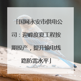 国网永安市供电公司：迎峰度夏工程按期投产，提升输电线路防雷水平
