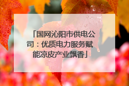 国网沁阳市供电公司：优质电力服务赋能凉皮产业飘香