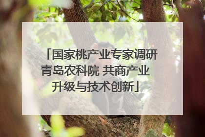 国家桃产业专家调研青岛农科院 共商产业升级与技术创新