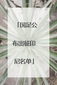 国足公布出征印尼名单