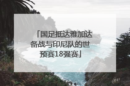 国足抵达雅加达备战与印尼队的世预赛18强赛