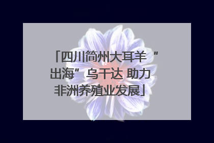 四川简州大耳羊“出海”乌干达 助力非洲养殖业发展