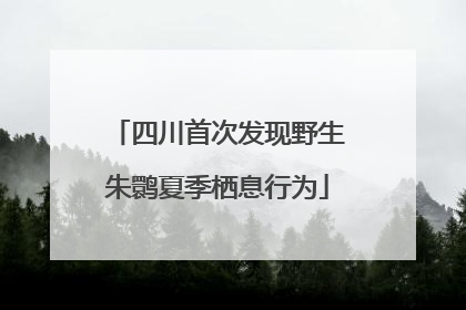 四川首次发现野生朱鹮夏季栖息行为