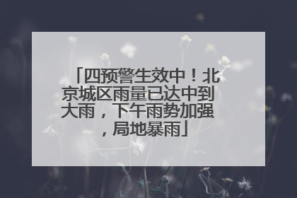 四预警生效中！北京城区雨量已达中到大雨，下午雨势加强，局地暴雨