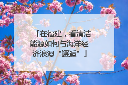 在福建，看清洁能源如何与海洋经济浪漫“邂逅”