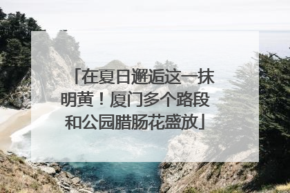 在夏日邂逅这一抹明黄！厦门多个路段和公园腊肠花盛放