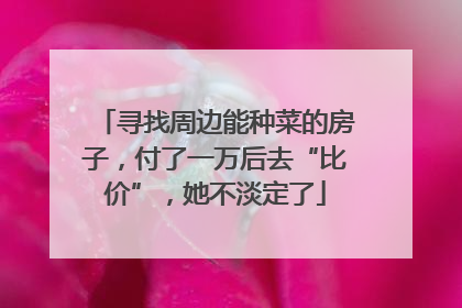寻找周边能种菜的房子，付了一万后去“比价”，她不淡定了