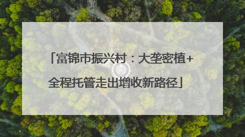 富锦市振兴村：大垄密植+全程托管走出增收新路径