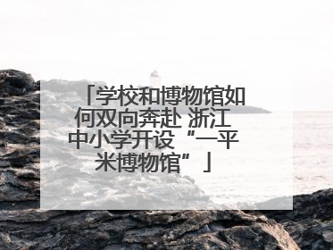 学校和博物馆如何双向奔赴 浙江中小学开设“一平米博物馆”