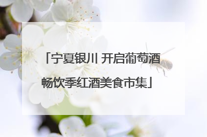 宁夏银川 开启葡萄酒畅饮季红酒美食市集
