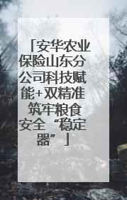 安华农业保险山东分公司科技赋能+双精准 筑牢粮食安全“稳定器”