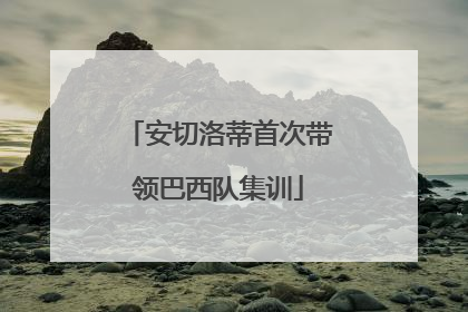 安切洛蒂首次带领巴西队集训