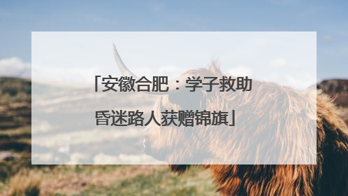 安徽合肥：学子救助昏迷路人获赠锦旗