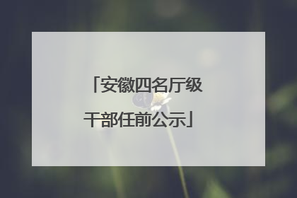安徽四名厅级干部任前公示