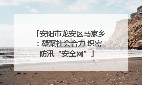 安阳市龙安区马家乡：凝聚社会合力 织密防汛“安全网”