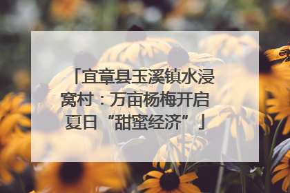宜章县玉溪镇水浸窝村：万亩杨梅开启夏日“甜蜜经济”