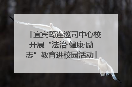 宜宾筠连巡司中心校开展“法治·健康·励志”教育进校园活动