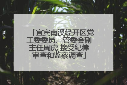 宜宾南溪经开区党工委委员、管委会副主任周虎 接受纪律审查和监察调查