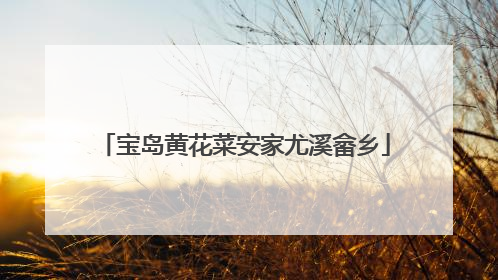宝岛黄花菜安家尤溪畲乡
