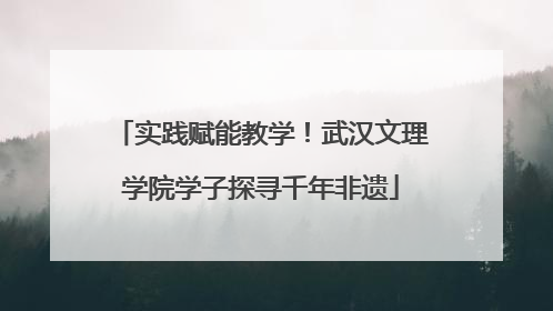 实践赋能教学！武汉文理学院学子探寻千年非遗