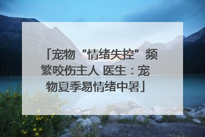 宠物“情绪失控”频繁咬伤主人 医生：宠物夏季易情绪中暑