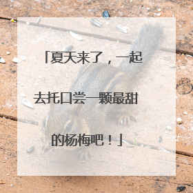 夏天来了，一起去托口尝一颗最甜的杨梅吧！