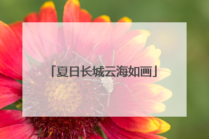 夏日长城云海如画