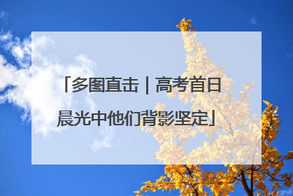 多图直击｜高考首日 晨光中他们背影坚定
