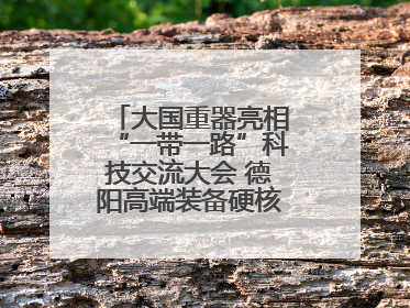 大国重器亮相“一带一路”科技交流大会 德阳高端装备硬核成果彰显实力