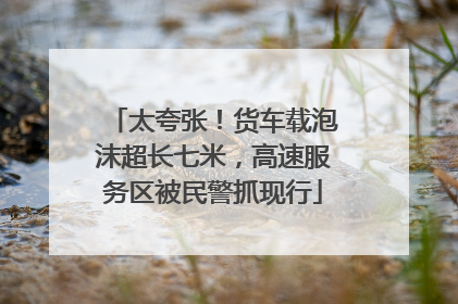 太夸张！货车载泡沫超长七米，高速服务区被民警抓现行