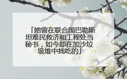 她曾在联合国巴勒斯坦难民救济和工程处当秘书，如今却在加沙垃圾堆中找吃的
