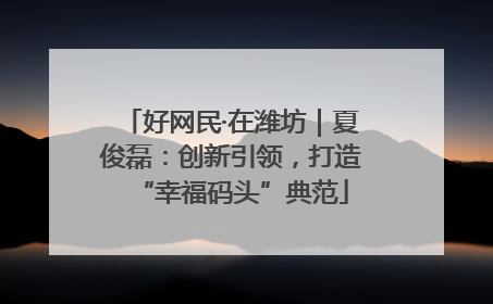 好网民·在潍坊｜夏俊磊：创新引领，打造“幸福码头”典范