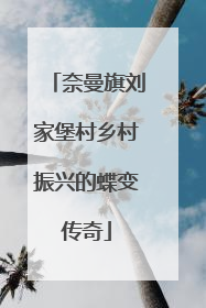 奈曼旗刘家堡村乡村振兴的蝶变传奇