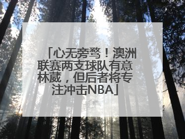 心无旁骛！澳洲联赛两支球队有意林葳，但后者将专注冲击NBA