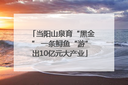 当阳山泉育“黑金” 一条鲟鱼“游”出10亿元大产业