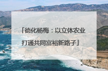 德化杨梅：以立体农业打通共同富裕新路子
