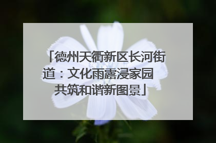 德州天衢新区长河街道：文化雨露浸家园 共筑和谐新图景