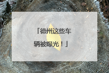 德州这些车辆被曝光！