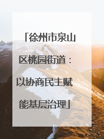 徐州市泉山区桃园街道：以协商民主赋能基层治理