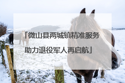 微山县两城镇精准服务助力退役军人再启航
