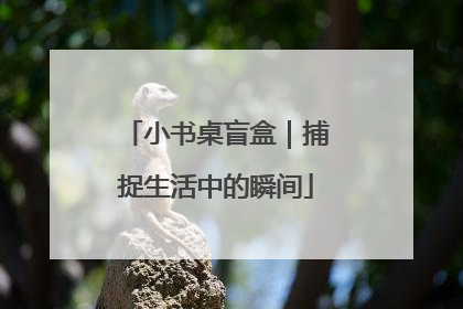 小书桌盲盒｜捕捉生活中的瞬间
