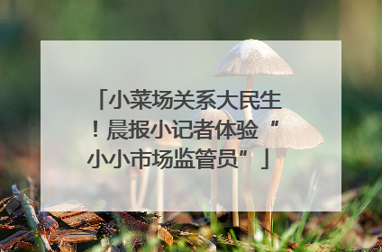 小菜场关系大民生！晨报小记者体验“小小市场监管员”
