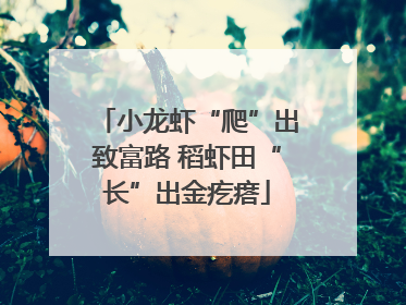 小龙虾“爬”出致富路 稻虾田“长”出金疙瘩
