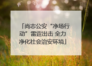 尚志公安“净场行动”雷霆出击 全力净化社会治安环境