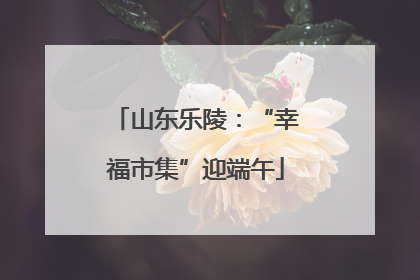 山东乐陵：“幸福市集”迎端午