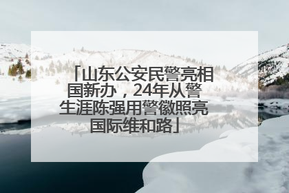 山东公安民警亮相国新办，24年从警生涯陈强用警徽照亮国际维和路