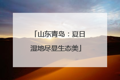 山东青岛：夏日湿地尽显生态美